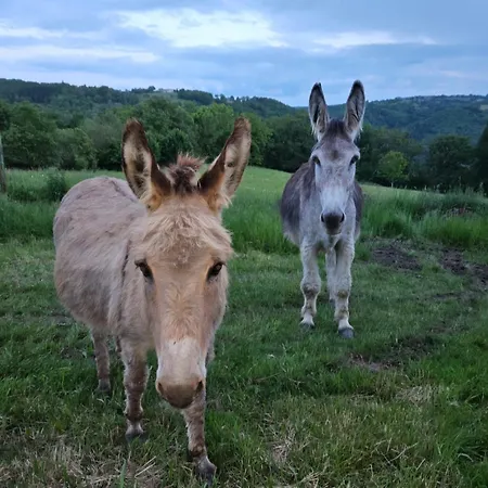 Ferienhaus De La Garrigue Brandonnet