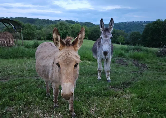 Сasa de vacaciones De La Garrigue Brandonnet